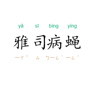 雅司病蝇