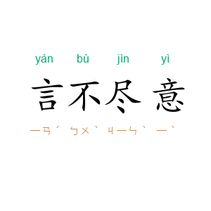 言不尽意