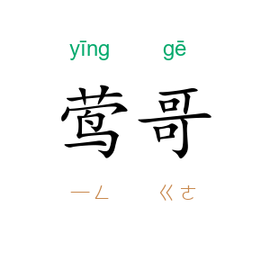 莺哥