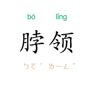 脖领