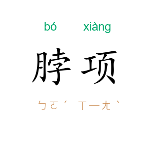 脖项