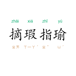 摘瑕指瑜
