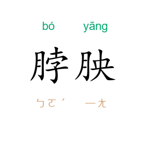 脖胦