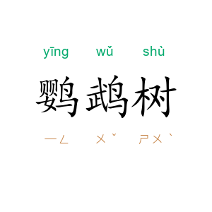 鹦鹉树