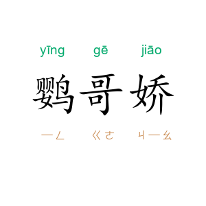 鹦哥娇