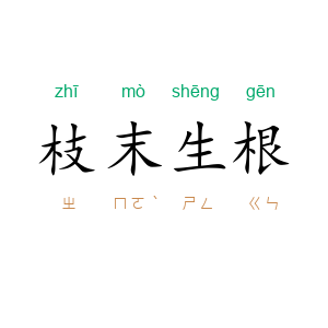 枝末生根