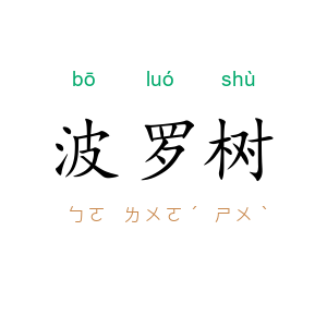 波罗树