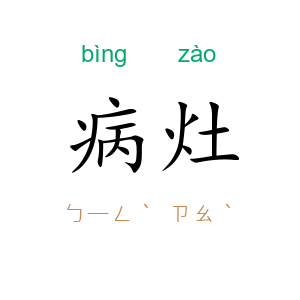 病灶