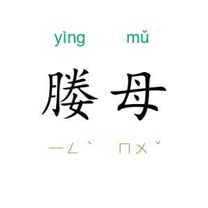 媵母