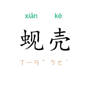 蚬壳