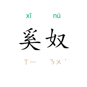 奚奴