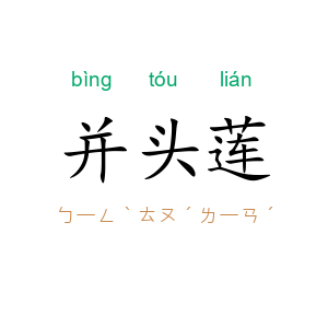 并头莲