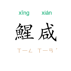 鯹咸