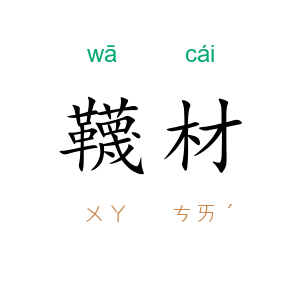 韈材