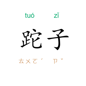 跎子