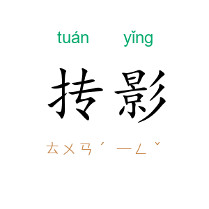 抟影