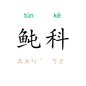鲀科