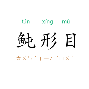 鲀形目