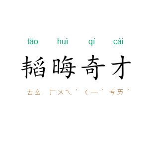 韬晦奇才