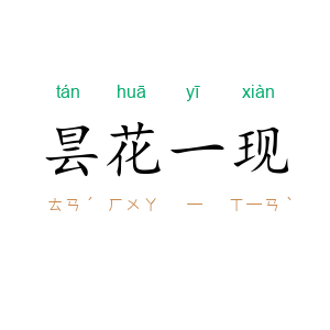 昙花一现