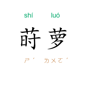 莳萝