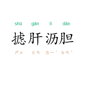 摅肝沥胆