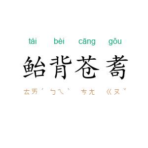 鲐背苍耈