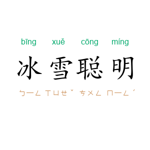 冰雪聪明