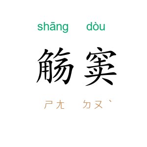 觞窦