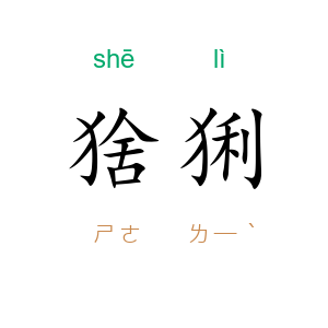 猞猁