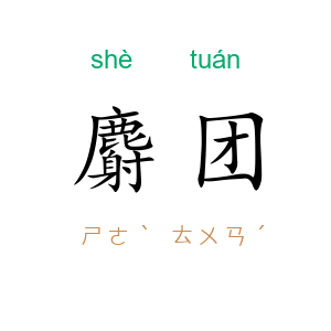 麝团