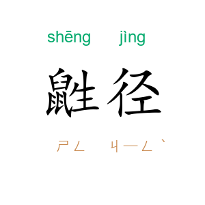 鼪径