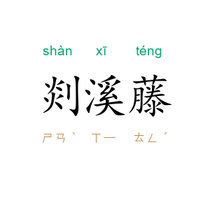 剡溪藤