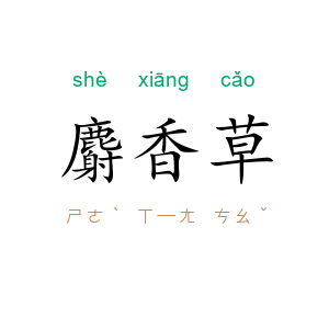 麝香草