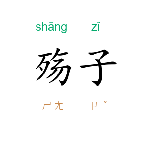 殇子