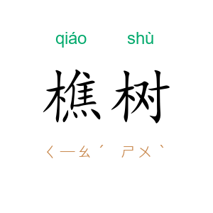 樵树