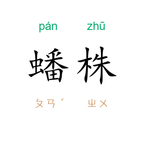 蟠株