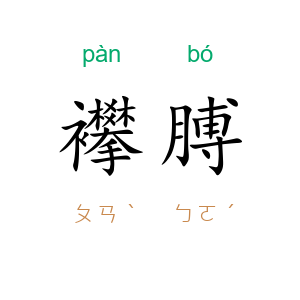 襻膊
