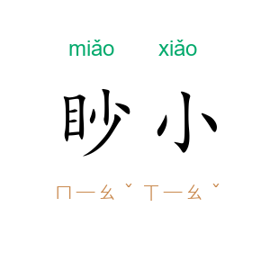 眇小