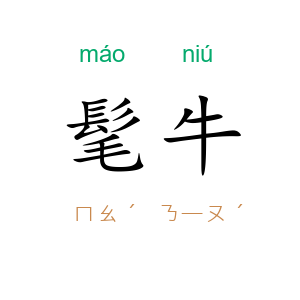 髦牛