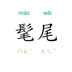髦尾