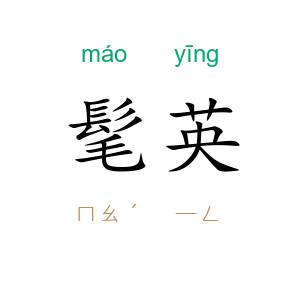 髦英