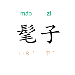 髦子