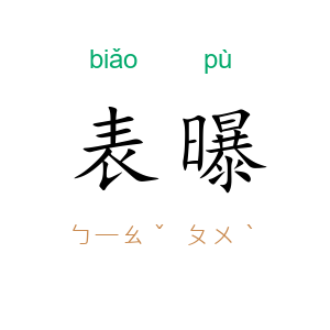 表曝
