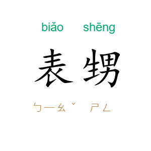 表甥