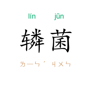 辚菌