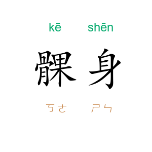 髁身