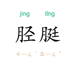 胫脡