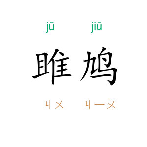 雎鸠
