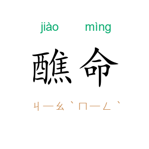 醮命